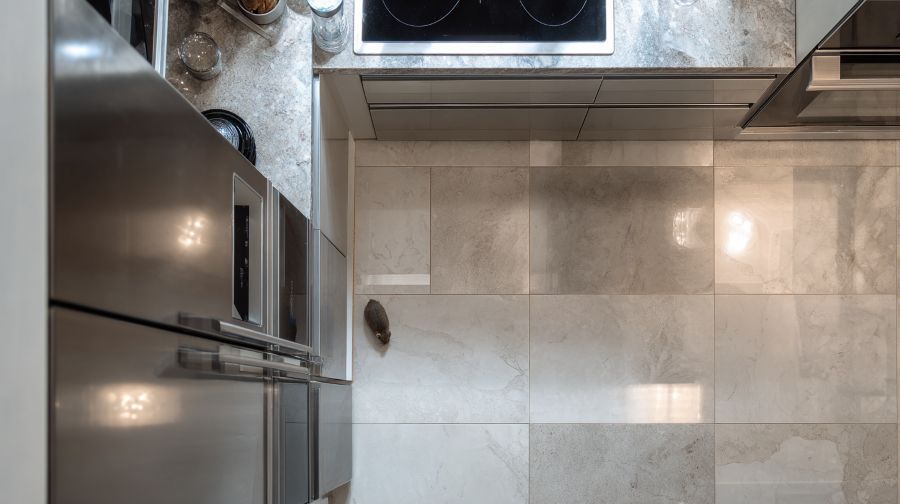 6 Sneaky Household Invaders—Can You Spot Them Before It’s Too Late?
